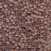 DB1732 - Cocoa lined crystal ab